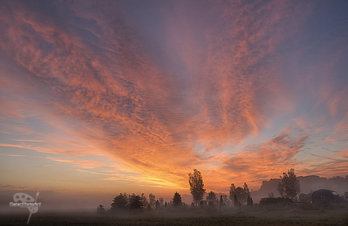 Foggy Sunrise2