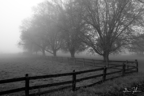 A Pennsylvania Morning