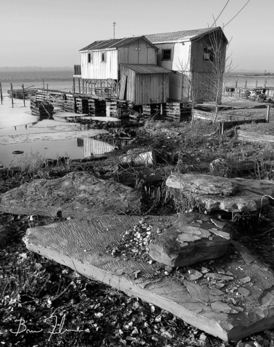 Erie's Original Boathouse 2